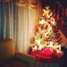 December "TREE" by gavincci