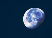 3rd Dec 2012 - Morning Moon