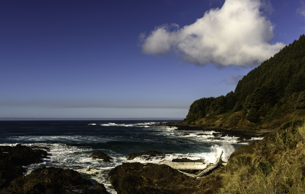 Oregon Coast in the Sunlight by jgpittenger