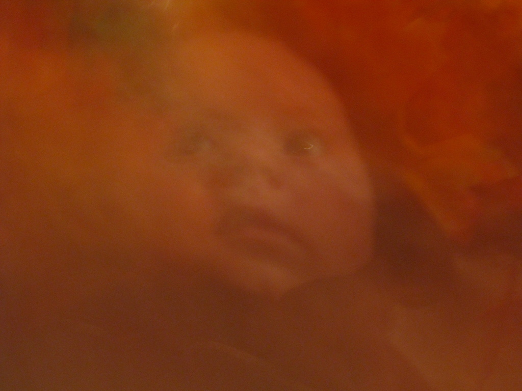 Baby Haze by photogypsy
