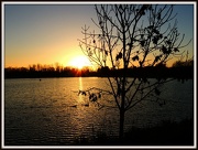 3rd Dec 2012 - Birds & sunsets 065