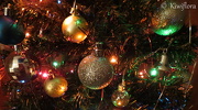 4th Dec 2012 - My Christmas Tree