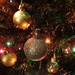 My Christmas Tree by kiwiflora