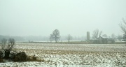 1st Dec 2012 - snowy and foggy