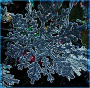 2nd Dec 2012 - Neon Snowflake