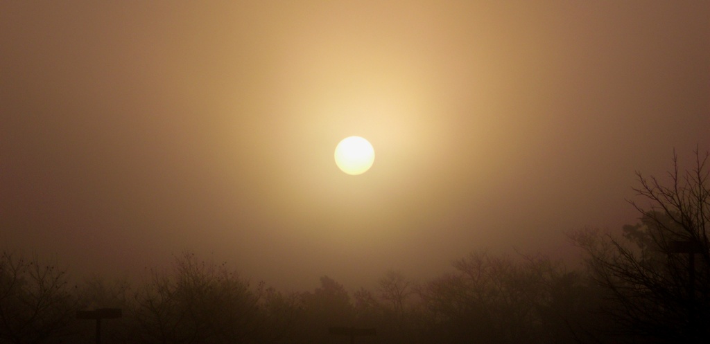Foggy Sunrise by lizzybean