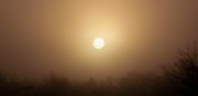 4th Dec 2012 - Foggy Sunrise