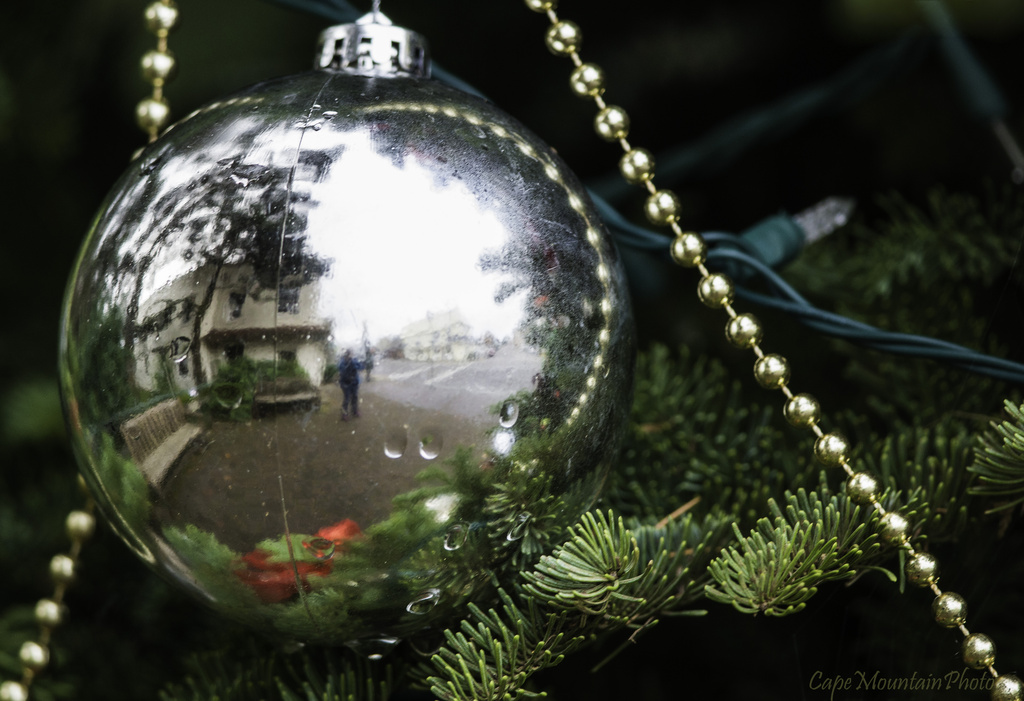 Reflected in the Ornament by jgpittenger