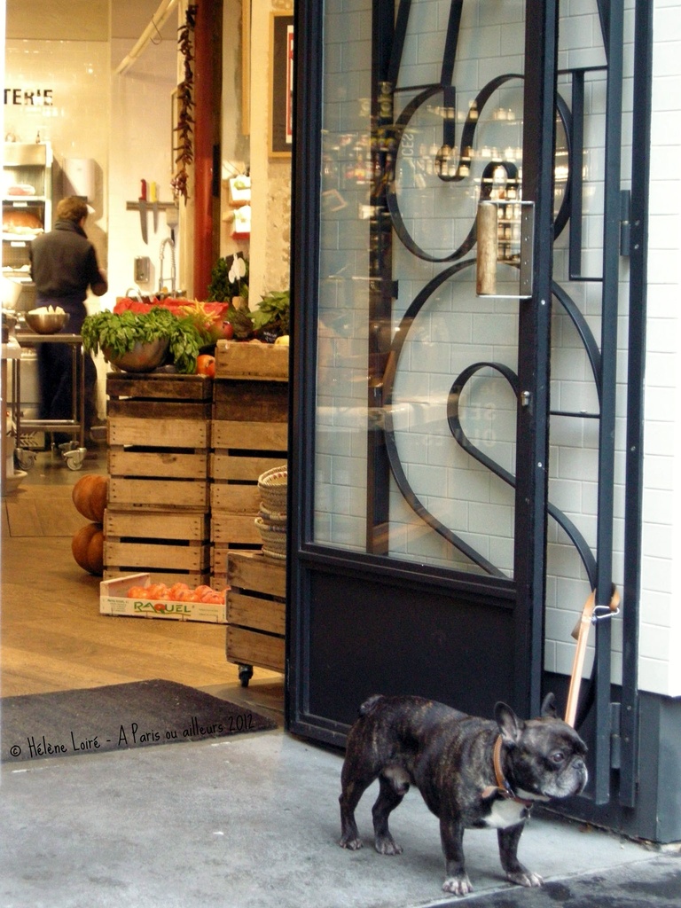 Dogs are not allowed in grocery store by parisouailleurs