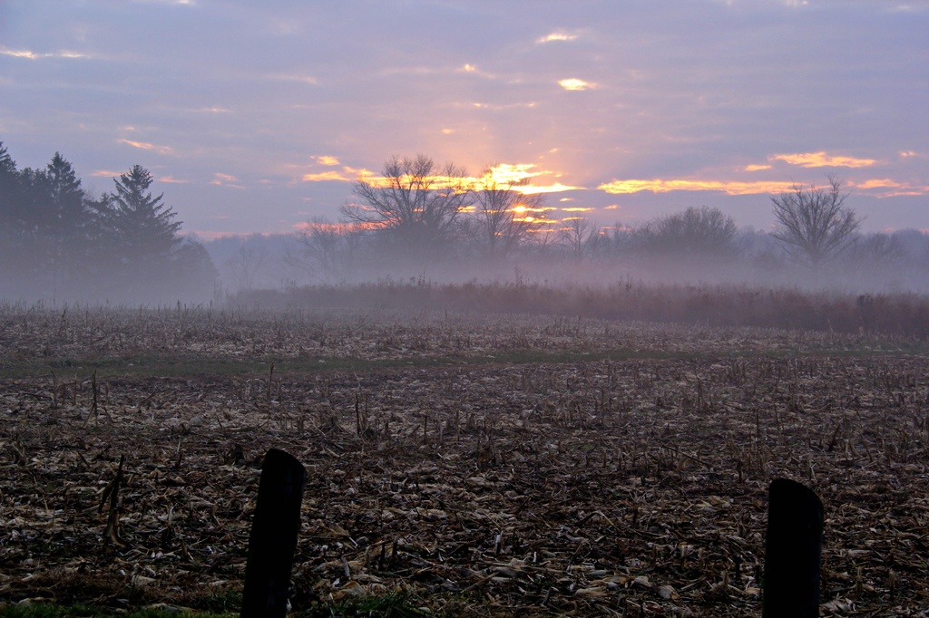 A Little Morning Fog by digitalrn