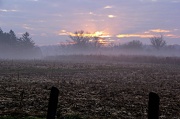 5th Dec 2012 - A Little Morning Fog