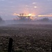 A Little Morning Fog by digitalrn
