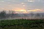 5th Dec 2012 - Fog On The Green