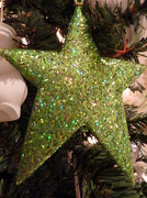 5th Dec 2011 - Wednesday Tinsel and Glitter
