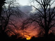 5th Dec 2012 - Orange Sunset.