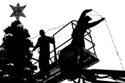 5th Dec 2012 - Putting New Lights On The Westlake Plaza Christmas Tree!