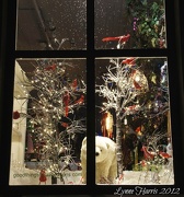 4th Dec 2012 - Shop Window
