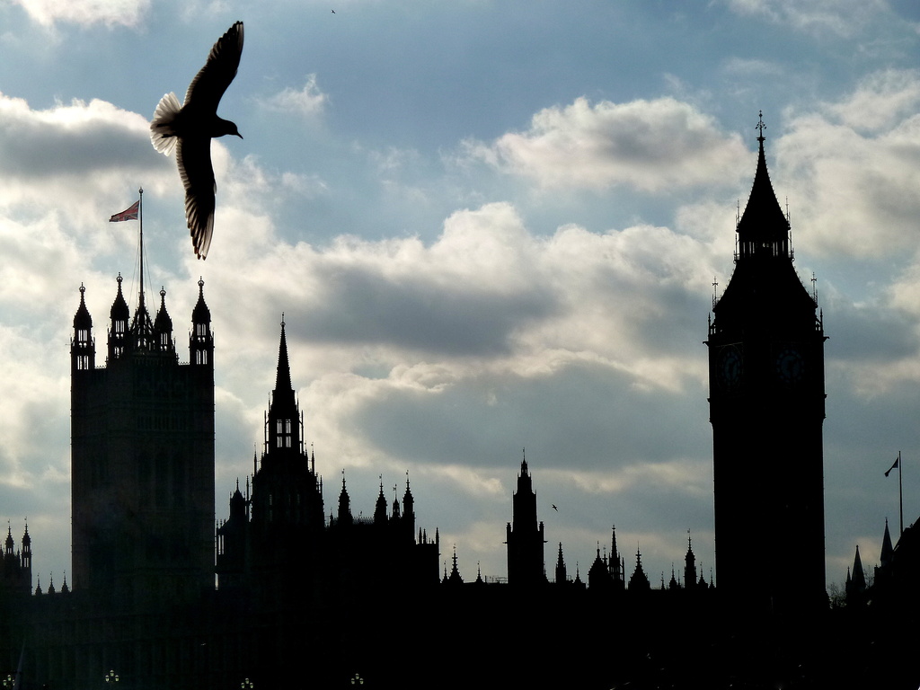 Big Ben and bird by boxplayer