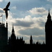 Big Ben and bird by boxplayer