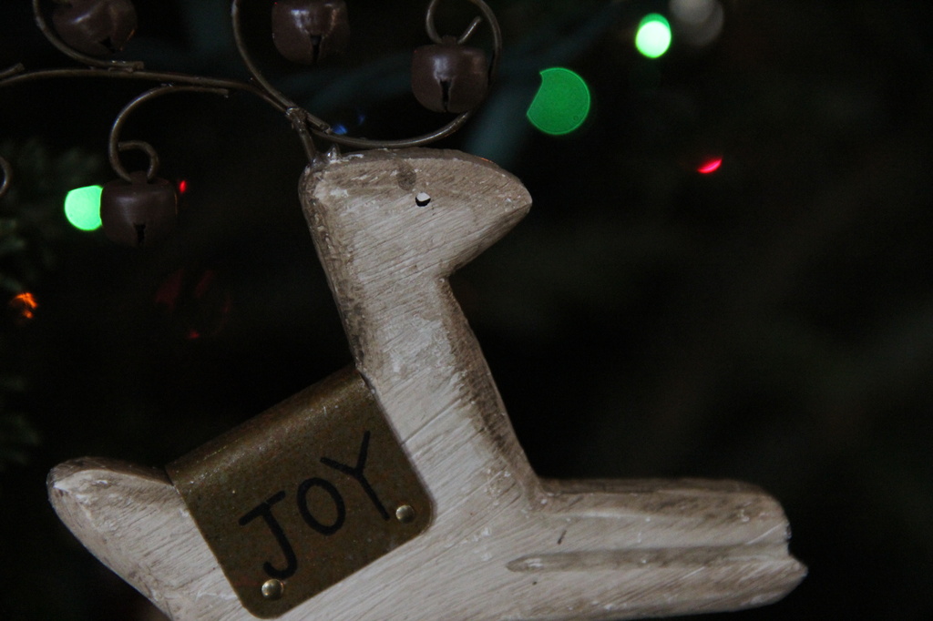 December Holiday Challenge (DHC): Ornament -Joy by tara11