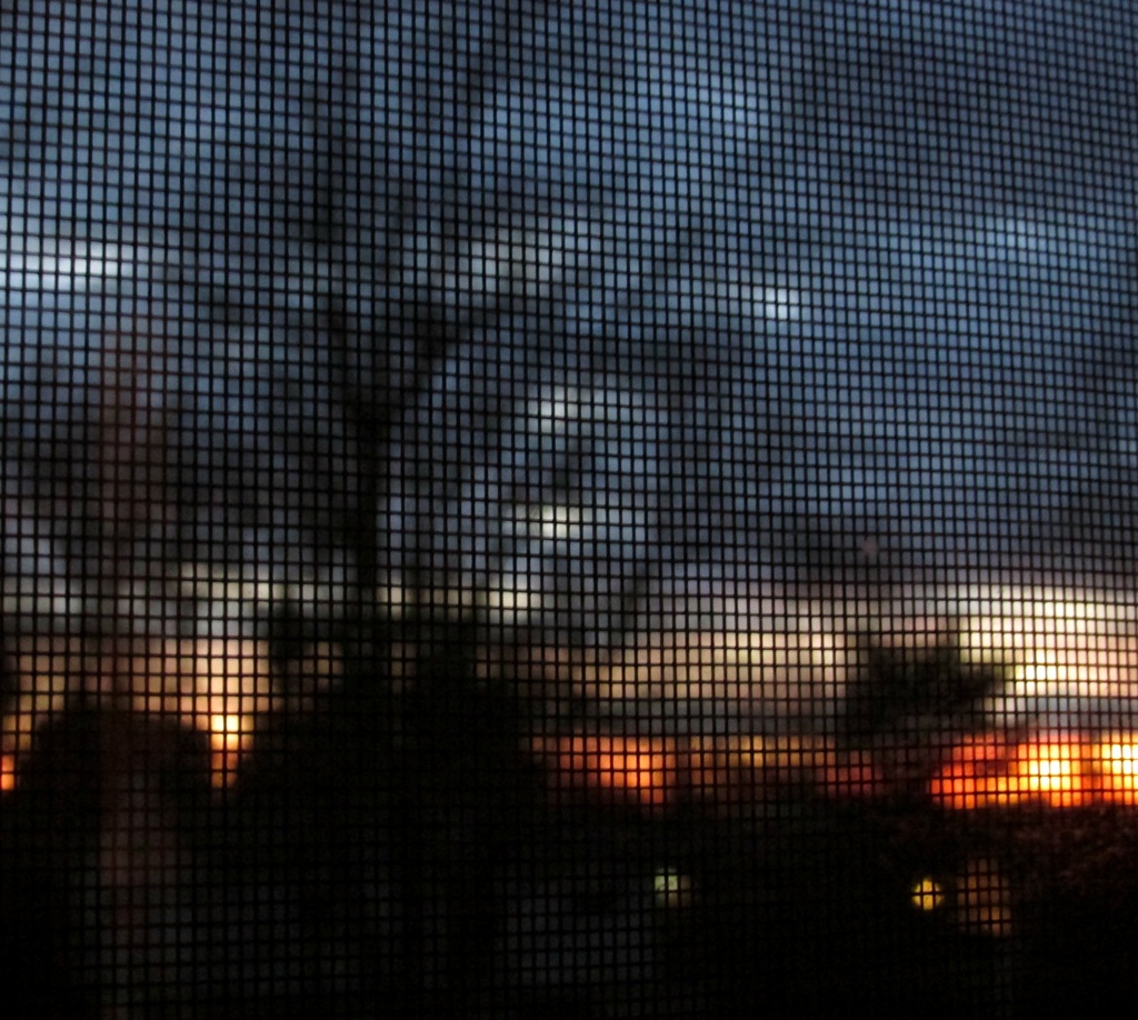 Sunset through the screen by mittens