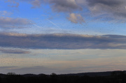 6th Dec 2012 - Peppered clouds