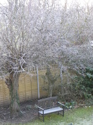 1st Dec 2012 - A Frosty Morning