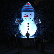 7th Dec 2012 - Dec 07: Night Snowman