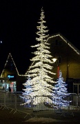 6th Dec 2012 - Sparkly Tree