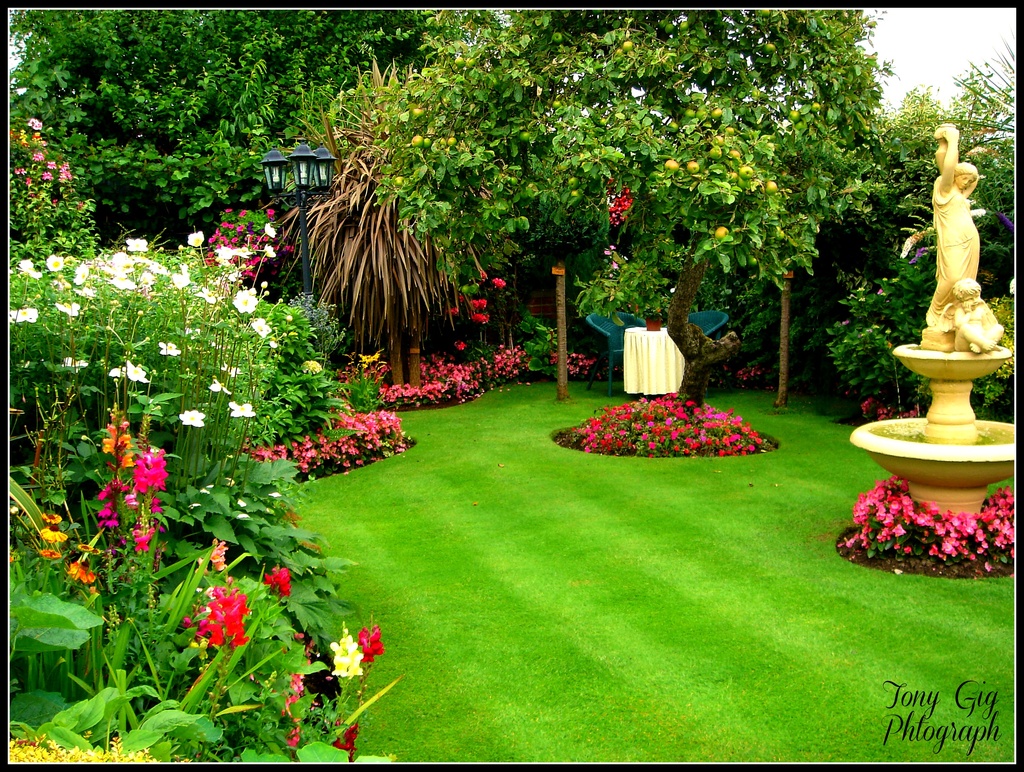 Gigs Garden by tonygig