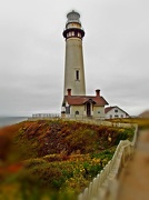 7th Jul 2012 - Pigeon Point Lighthouse