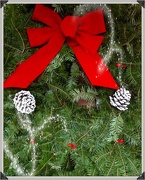 7th Dec 2012 - Wreath