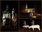 7th Dec 2012 - The Nativity
