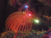 6th Dec 2012 - Christmas Ornament