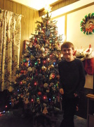 7th Dec 2012 - The Tree is Done