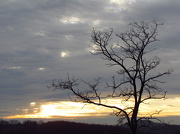 7th Dec 2012 - Sunrise over Galena