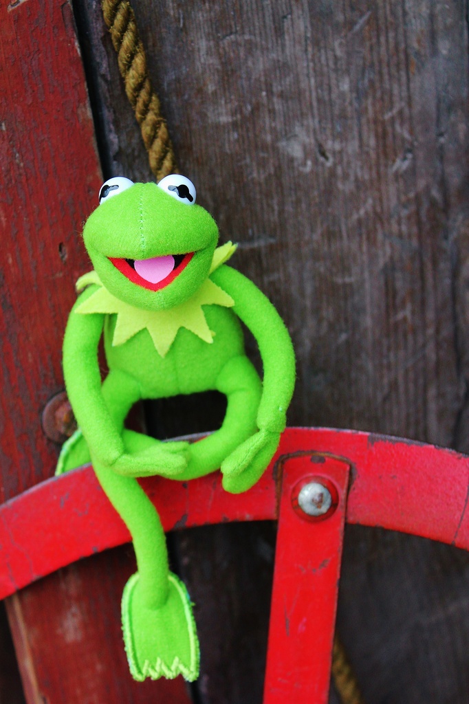 Kermit Perched! by edorreandresen