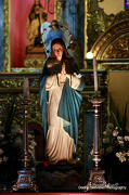 8th Dec 2012 - Feast of the Immaculate Conception