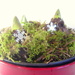 Green Hyacinth Peaks with snowflakes in a red pot by filsie65