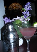 22nd Jul 2010 - Cosmos at the Tini Martini Bar