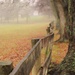 Foggy Fences by alophoto