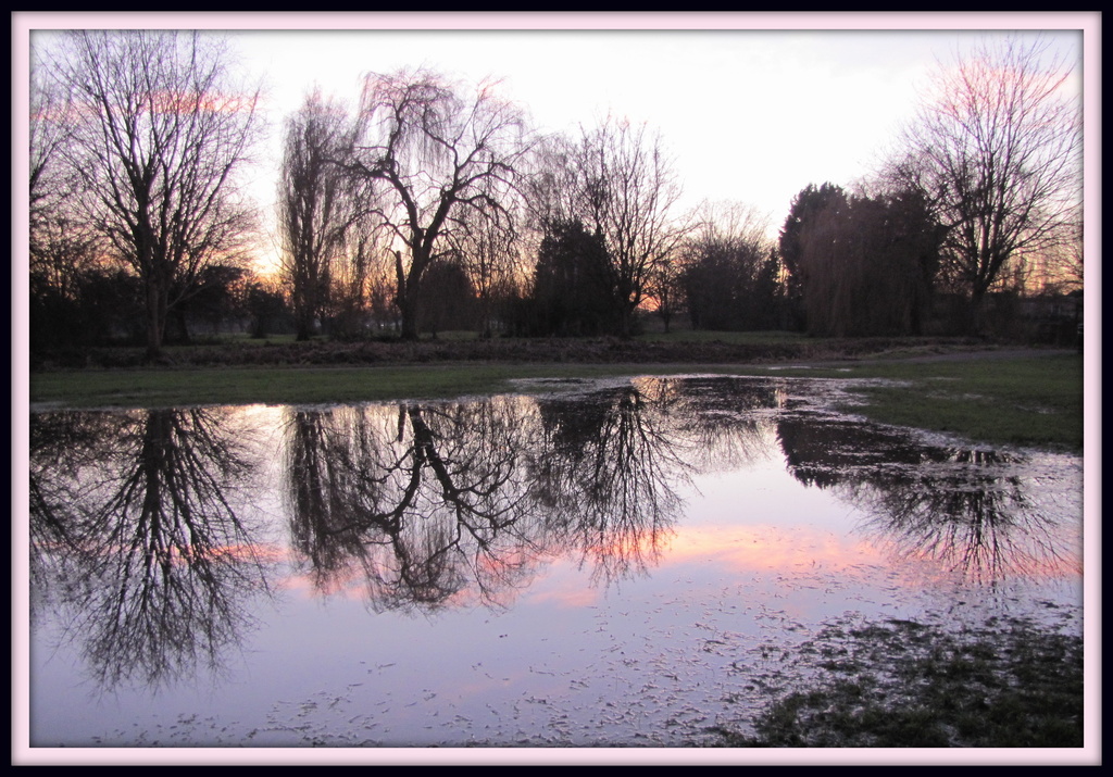 Reflection in the floods by busylady