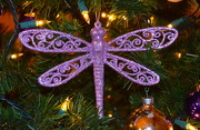 2nd Dec 2012 - Dragonfly christmas