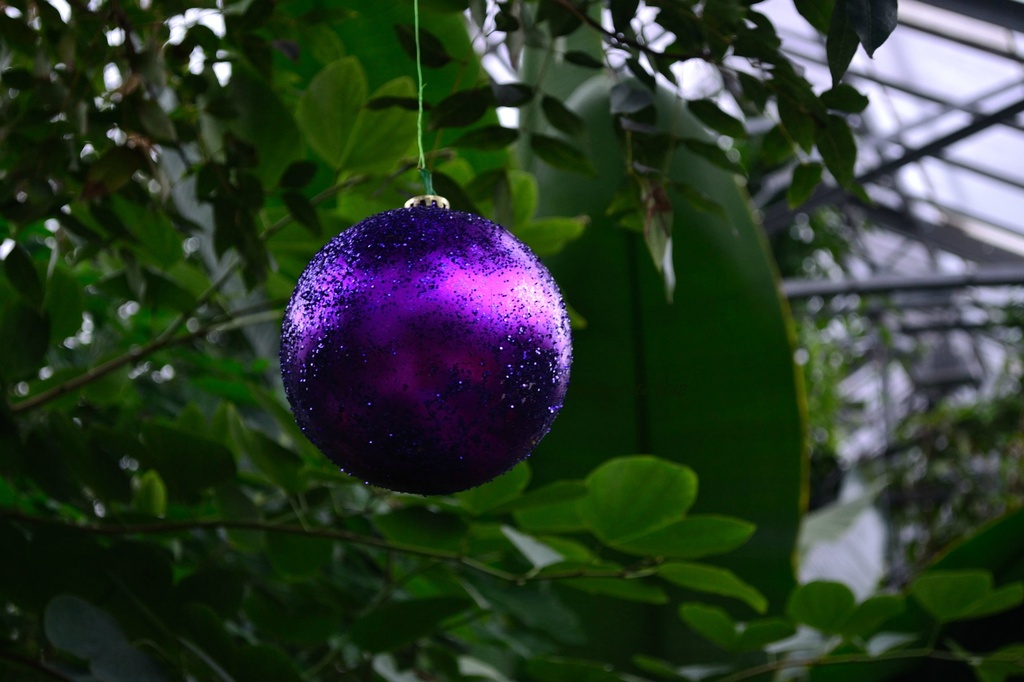purple ornament by summerfield