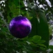 purple ornament by summerfield