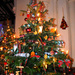 For Victoria ~ Hathern Christmas Tree Festival by seanoneill