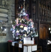 6th Dec 2012 - Christmas Tree Festival - Transition tavistock Tree  