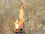 6th Dec 2012 - Burning Fire 12.8.12