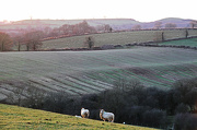 8th Dec 2012 - rolling countryside
