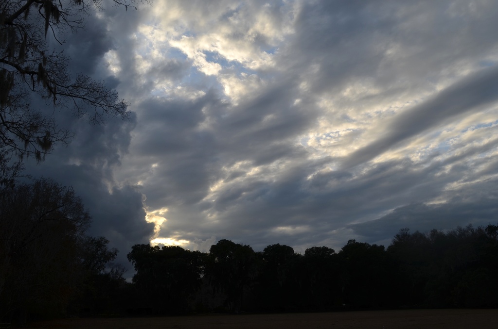 Dramatic skies at the gardens today by congaree